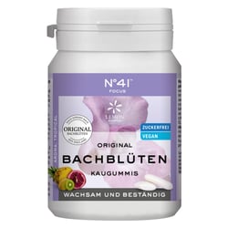 Konzentration Kaug Dr.bach
