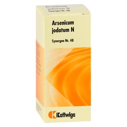 Synergon Kompl Arsenicum jodatum N Nr.48