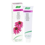 ECHINACEA ZAHNPASTA A.Vogel Produktbild 2