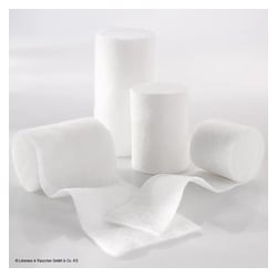 Elafix Binden Raucolast 12 cm o.Zellglas