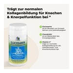 Glucosamin Chondroitin Kapseln