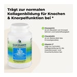 Glucosamin Chondroitin Kapseln Produktbild 3