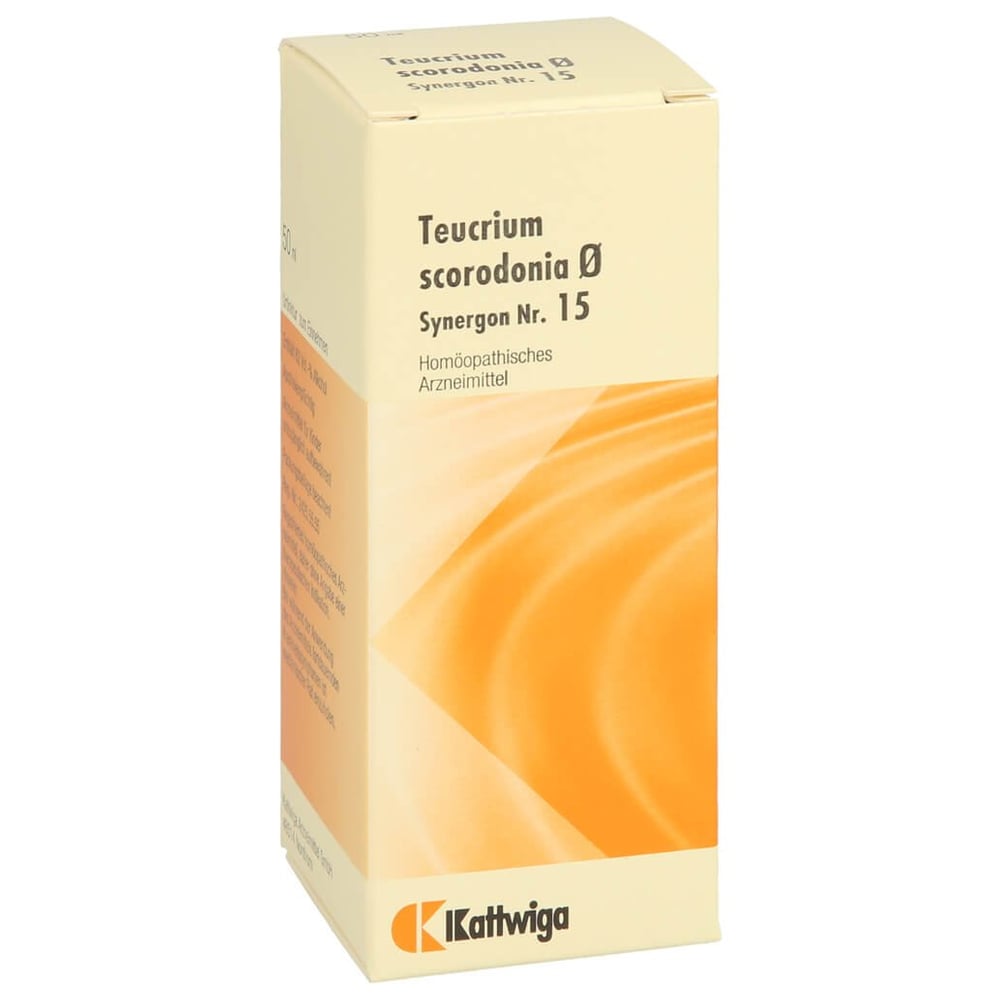 Synergon Kompl Teucrium Urtinktur Nr.15