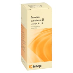 Synergon Kompl Teucrium Urtinktur Nr.15
