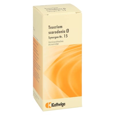 Synergon Kompl Teucrium Urtinktur Nr.15