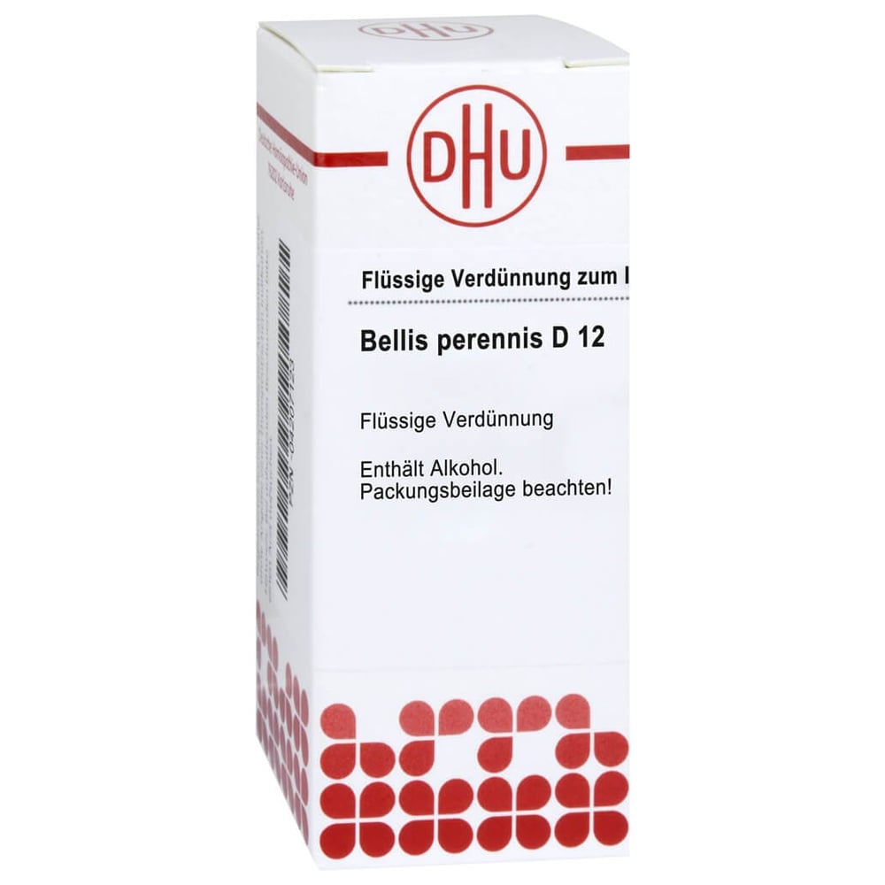 Bellis Perennis D12