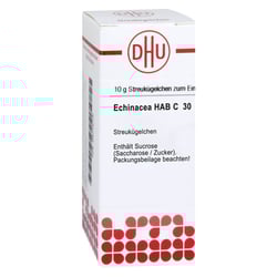 Echinacea (HAB) C30