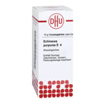 Echinacea Purpurea D 4 Produktbild 1