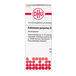 Echinacea Purpurea D 4 Produktbild 3