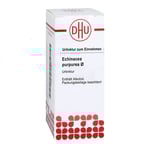 Echinacea Purpur Urt