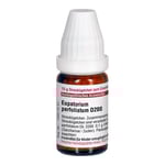 Eupatorium Perfoliatum D 200