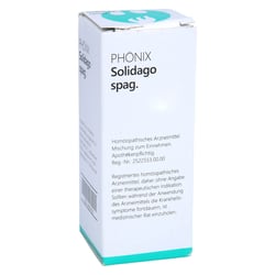 PHÖNIX SOLIDAGO spag.Mischung
