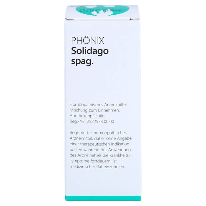 PHÖNIX SOLIDAGO spag.Mischung
