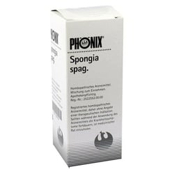PHÖNIX SPONGIA spag.Mischung