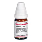 Sabadilla C200 Produktbild 4