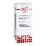 Sanguinaria C 6 Produktbild 1
