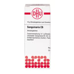 Sanguinaria C 6 Produktbild 3
