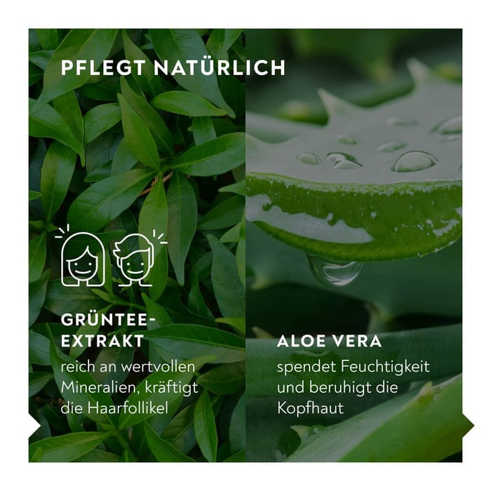 BIO-H-TIN Pflege Shampoo