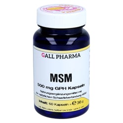 Msm 500 mg Gph Kapseln