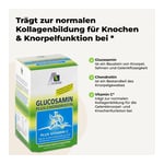 Avitale Glucosamin 500 mg + Chondroitin 400 mg