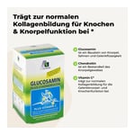 Glucosamin Kaps.500mg+ Chondroitin 400mg