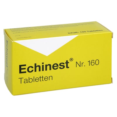 Echinest Nr. 160