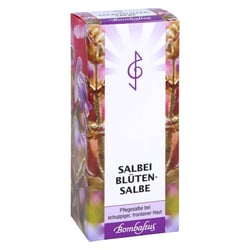 SALBEIBLÜTEN-Salbe