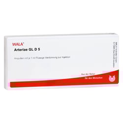 Arteriae Gl D 5 Ampullen