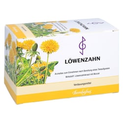 LÖWENZAHN BOMBASTUS