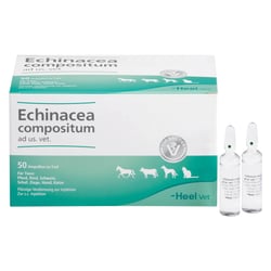 Echinacea Comp Ad Us Vet