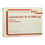 Lophakomp-B12 3000