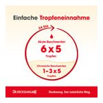 Migräne-gastreu M R16 Mischung Produktbild 4