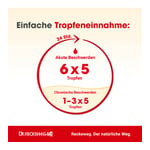 Ruta-gastreu N R55 Mischung Produktbild 4