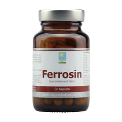Ferrosin (Eisen) 14 mg
