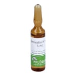 Derivatio H Injektion Ampullen Produktbild 4