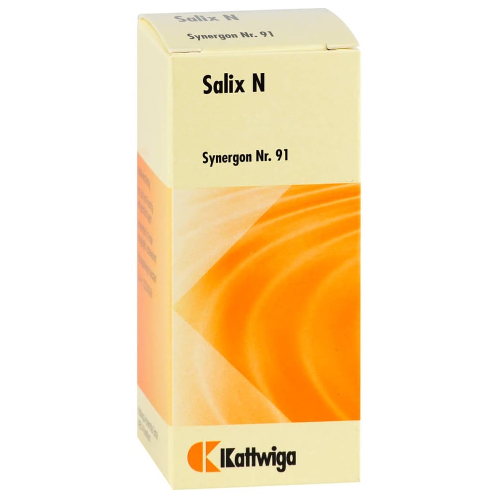 Synergon Komplex 91 Salix N Tropfen
