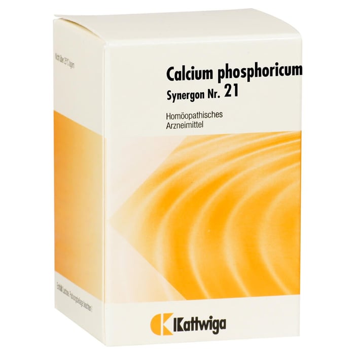 Synergon Komplex 21 Calcium phosphoricum Tabletten