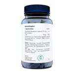 Orthica Kelp-150