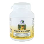 Avitale Rhodiola Rosea