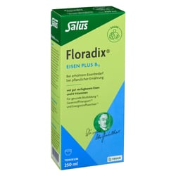 Floradix Eisen plus B12 vegan Tonikum