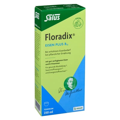 Floradix Eisen plus B12 vegan Tonikum