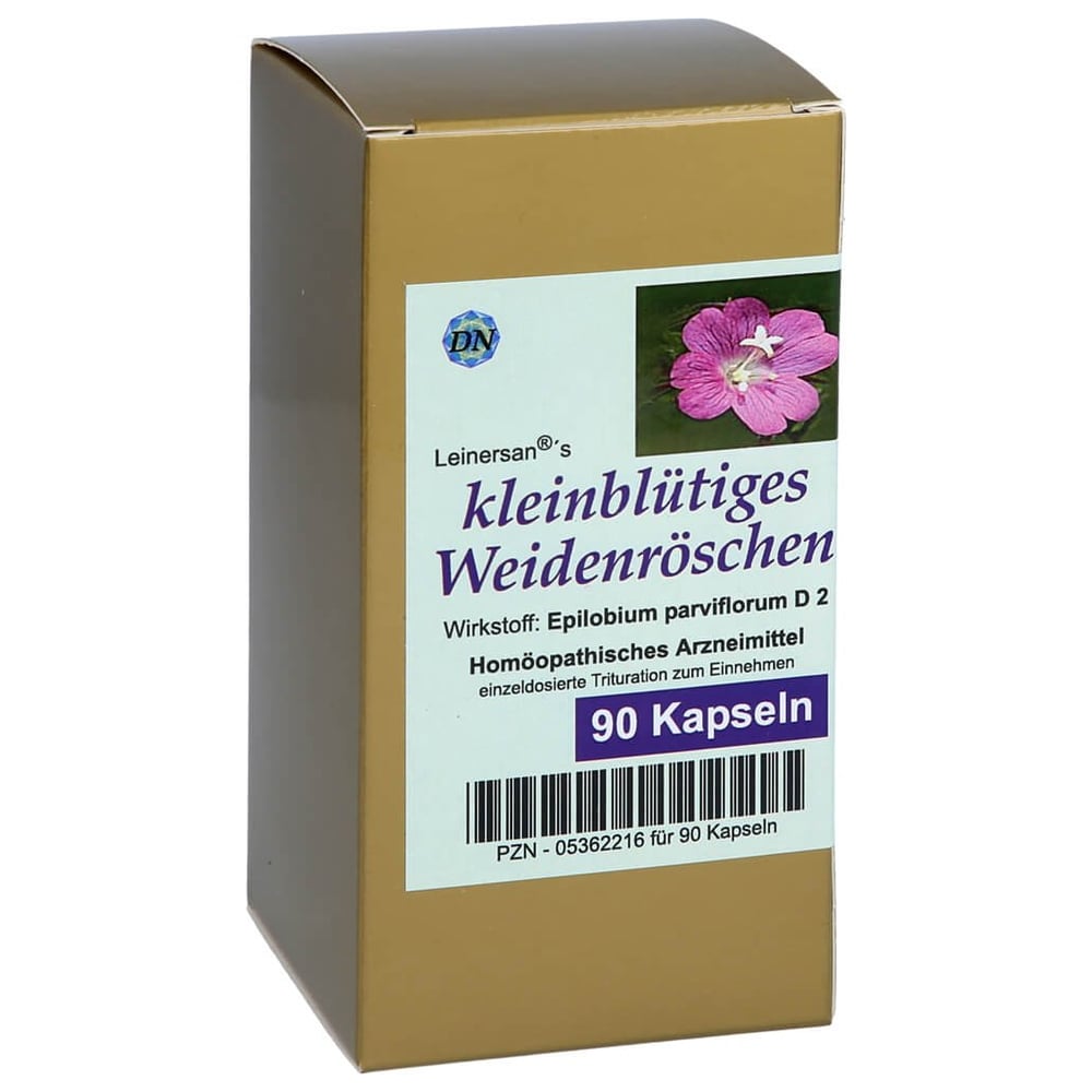 Kleinbl Tiges Weidenr Schen Kapseln