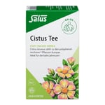 Cistus Kräutertee bio Salus