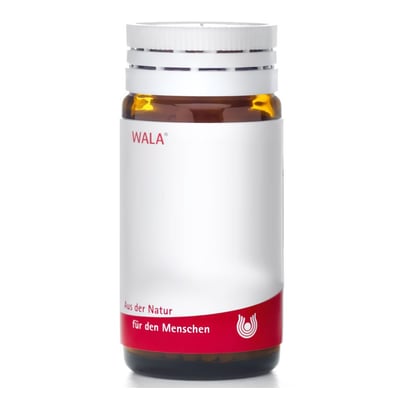 Helleborus Nig E Pla To D3