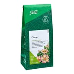 Cistus Kräutertee Bio Salus