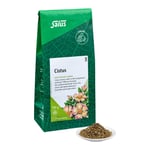 Cistus Kräutertee Bio Salus