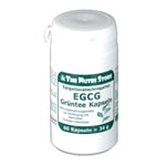 Egcg 97,5 mg Epigallocatech Produktbild 1