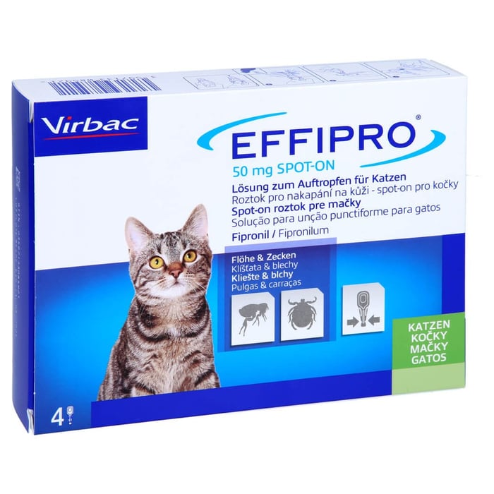 Effipro 50 mg Lösung z.Auftropfen f.Katzen