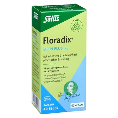 Floradix Eisen plus B12 vegan Kapseln