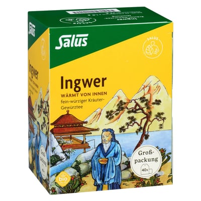 Ingwer Kräuter-Gewürztee-Mischung bio Salus